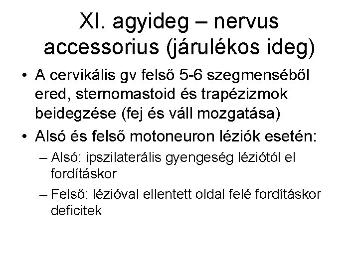 XI. agyideg – nervus accessorius (járulékos ideg) • A cervikális gv felső 5 -6
