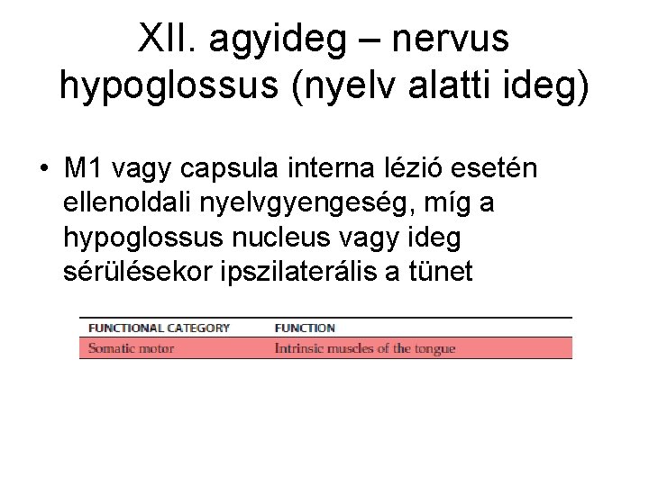 XII. agyideg – nervus hypoglossus (nyelv alatti ideg) • M 1 vagy capsula interna