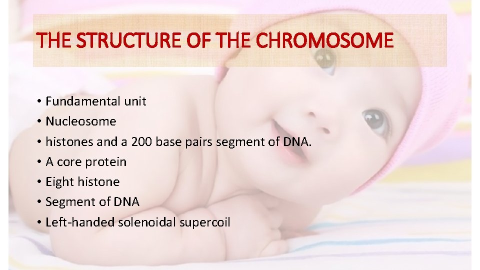 THE STRUCTURE OF THE CHROMOSOME • Fundamental unit • Nucleosome • histones and a