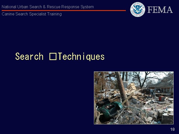 National Urban Search & Rescue Response System Canine Search Specialist Training Search �Techniques 18