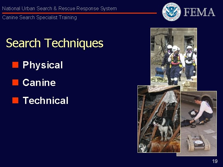 National Urban Search & Rescue Response System Canine Search Specialist Training Search Techniques n