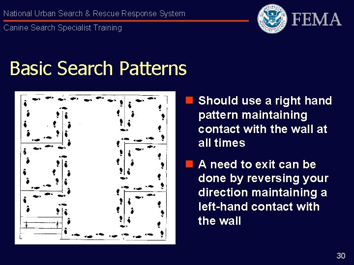 National Urban Search & Rescue Response System Canine Search Specialist Training Basic Search Patterns