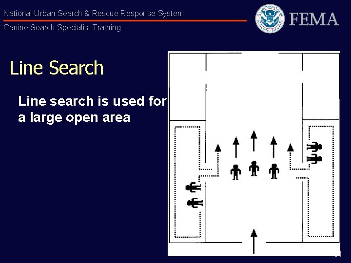 National Urban Search & Rescue Response System Canine Search Specialist Training Line Search Line