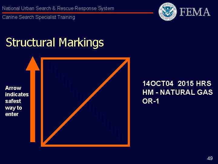 National Urban Search & Rescue Response System Canine Search Specialist Training Structural Markings Arrow