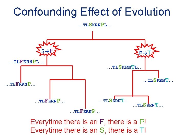Confounding Effect of Evolution …TLSKRNPL… S F P T …TLFKRNPL… …TLSKRNT… …TLFKRNP… …TLSKRNT… Everytime