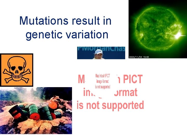 Mutations result in genetic variation 