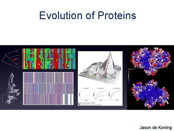 Evolution of Proteins Jason de Koning 