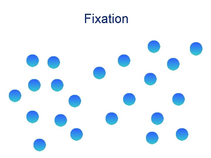 Fixation 