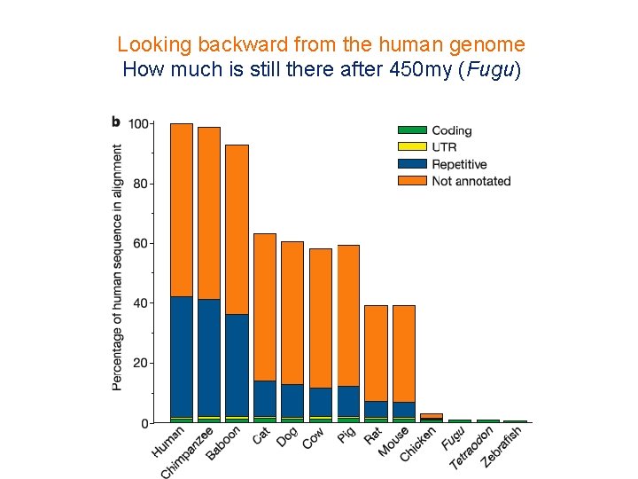 Looking backward from the human genome How much is still there after 450 my