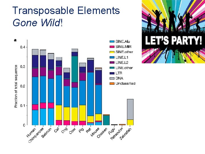 Transposable Elements Gone Wild! 