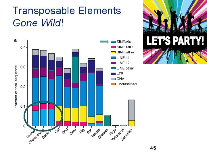 Transposable Elements Gone Wild! 45 