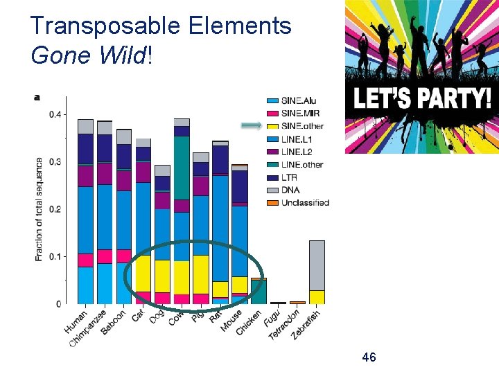 Transposable Elements Gone Wild! 46 