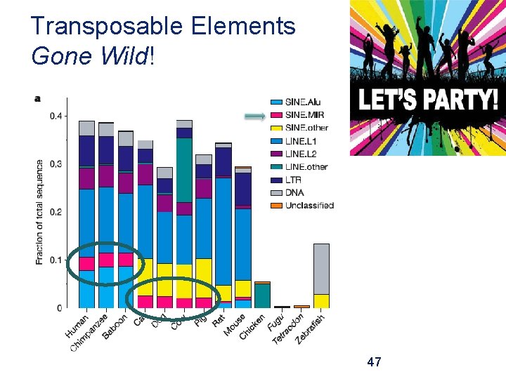 Transposable Elements Gone Wild! 47 