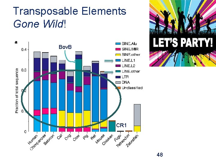 Transposable Elements Gone Wild! Bov. B CR 1 48 