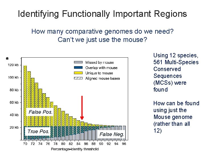 Identifying Functionally Important Regions How many comparative genomes do we need? Can’t we just