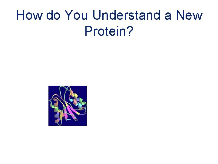 How do You Understand a New Protein? 