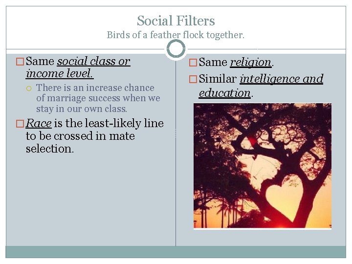 Social Filters Birds of a feather flock together. � Same social class or income