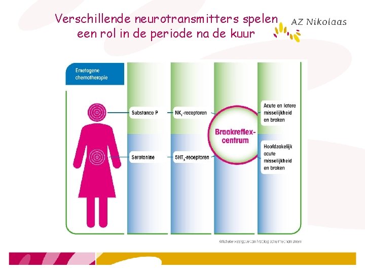 Verschillende neurotransmitters spelen een rol in de periode na de kuur 