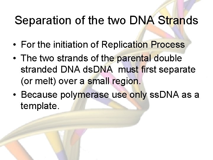 Separation of the two DNA Strands • For the initiation of Replication Process •