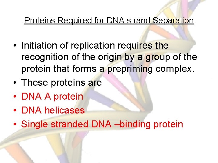 Proteins Required for DNA strand Separation • Initiation of replication requires the recognition of