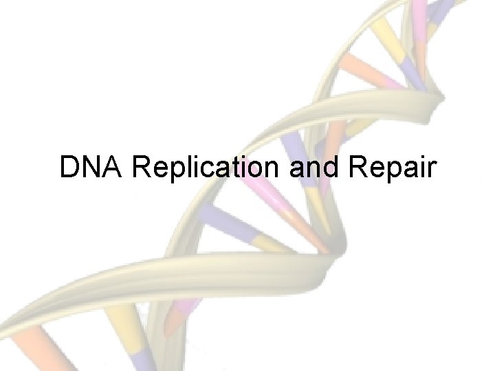 DNA Replication and Repair 