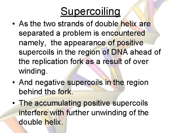 Supercoiling • As the two strands of double helix are separated a problem is