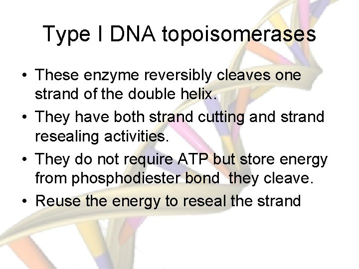Type I DNA topoisomerases • These enzyme reversibly cleaves one strand of the double