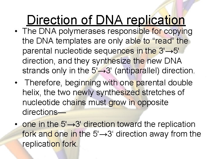 Direction of DNA replication • The DNA polymerases responsible for copying the DNA templates