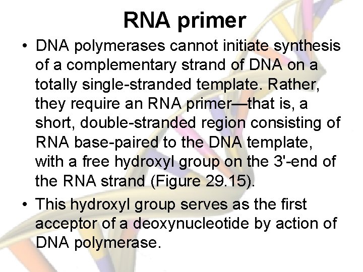 RNA primer • DNA polymerases cannot initiate synthesis of a complementary strand of DNA