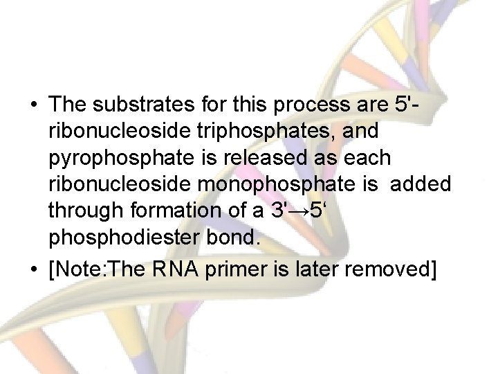  • The substrates for this process are 5'ribonucleoside triphosphates, and pyrophosphate is released