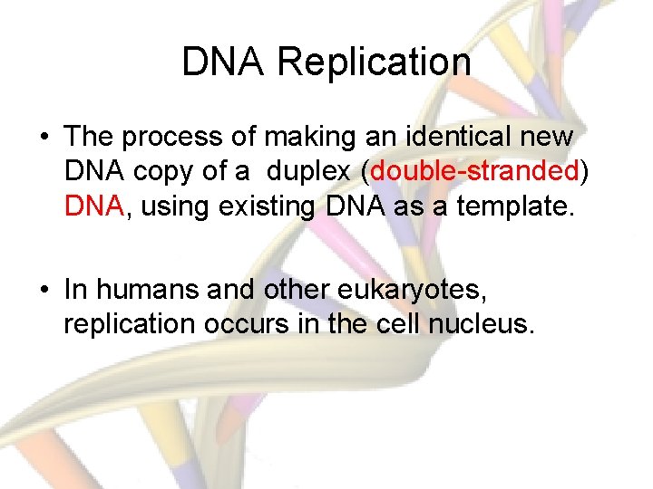 DNA Replication • The process of making an identical new DNA copy of a