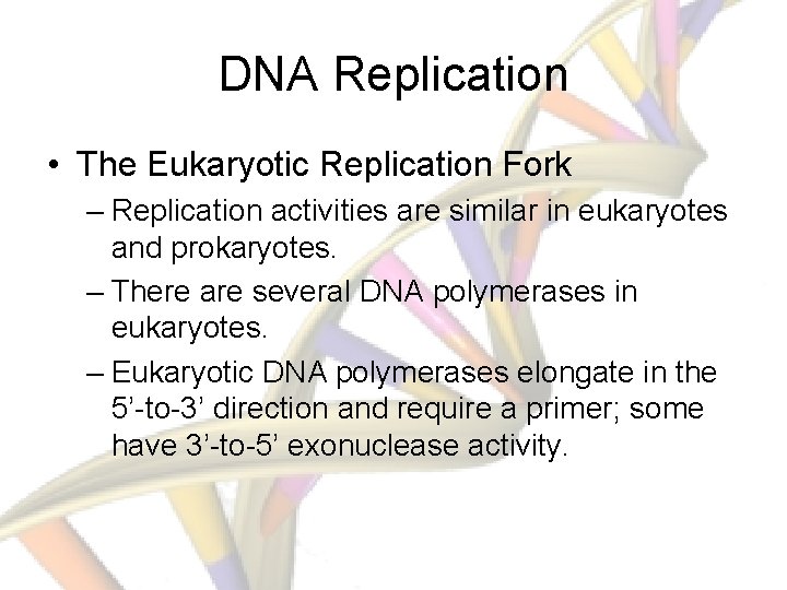 DNA Replication • The Eukaryotic Replication Fork – Replication activities are similar in eukaryotes