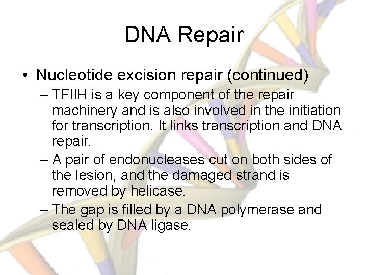 DNA Repair • Nucleotide excision repair (continued) – TFIIH is a key component of