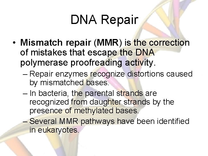 DNA Repair • Mismatch repair (MMR) is the correction of mistakes that escape the