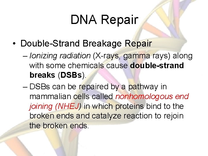 DNA Repair • Double-Strand Breakage Repair – Ionizing radiation (X-rays, gamma rays) along with