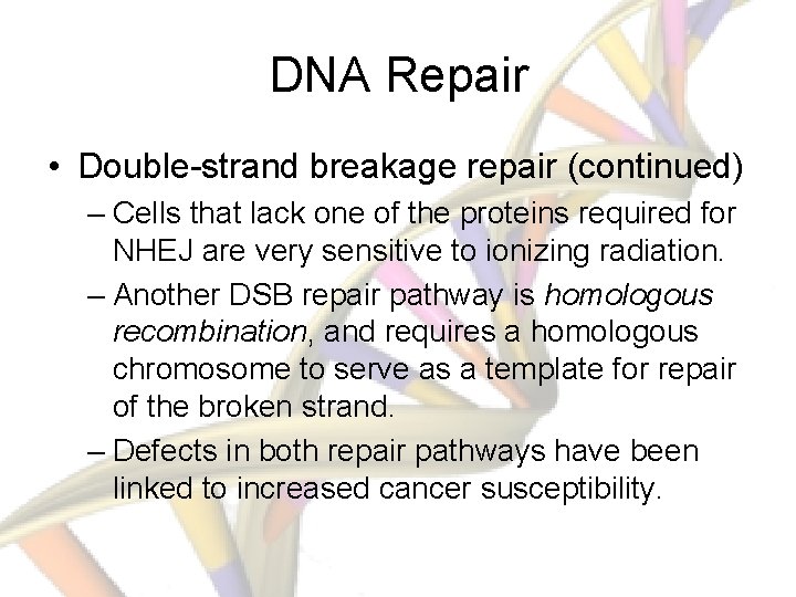 DNA Repair • Double-strand breakage repair (continued) – Cells that lack one of the