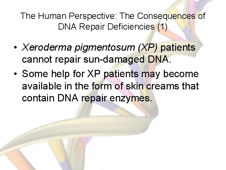 The Human Perspective: The Consequences of DNA Repair Deficiencies (1) • Xeroderma pigmentosum (XP)