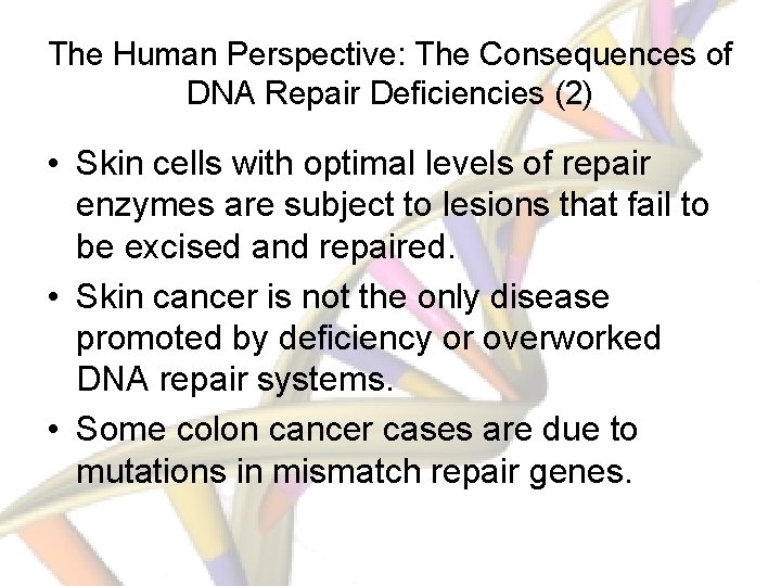 The Human Perspective: The Consequences of DNA Repair Deficiencies (2) • Skin cells with