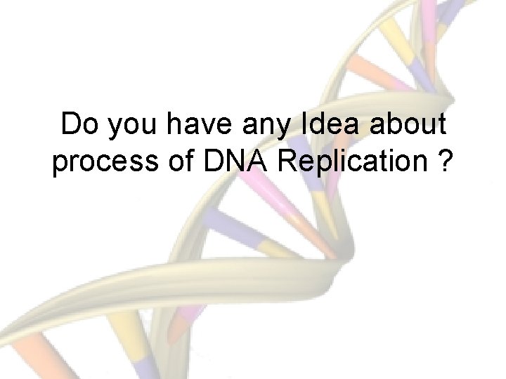 Do you have any Idea about process of DNA Replication ? 