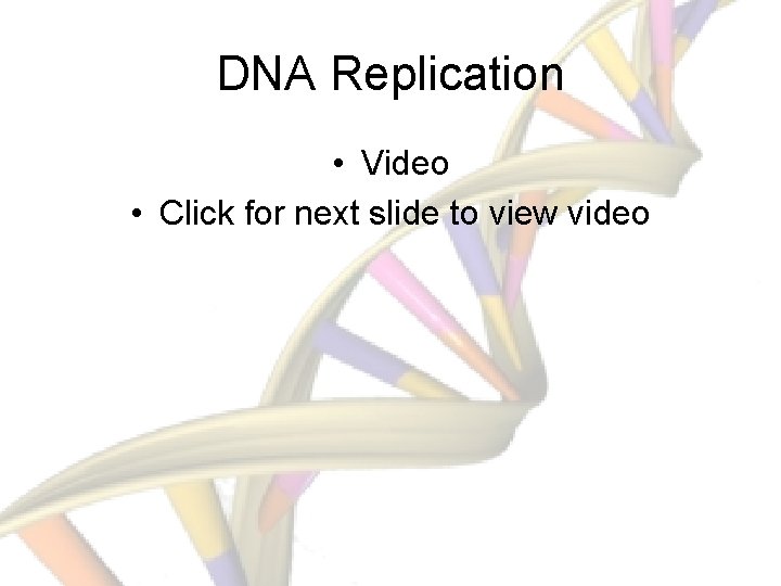 DNA Replication • Video • Click for next slide to view video 