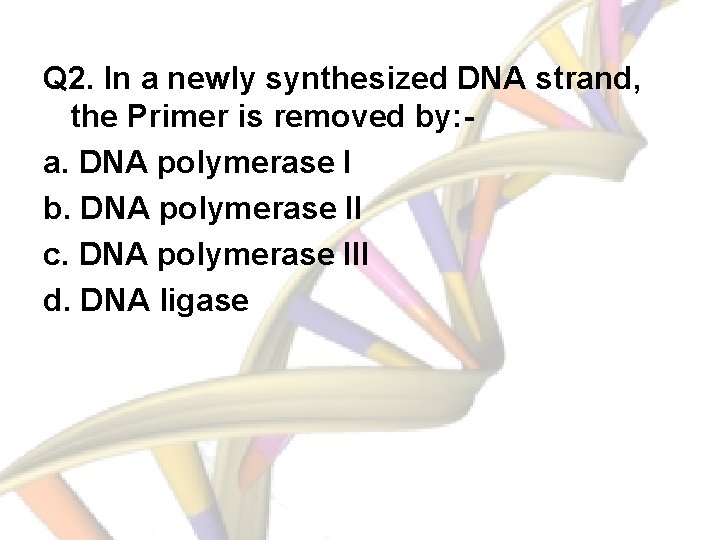 Q 2. In a newly synthesized DNA strand, the Primer is removed by: a.