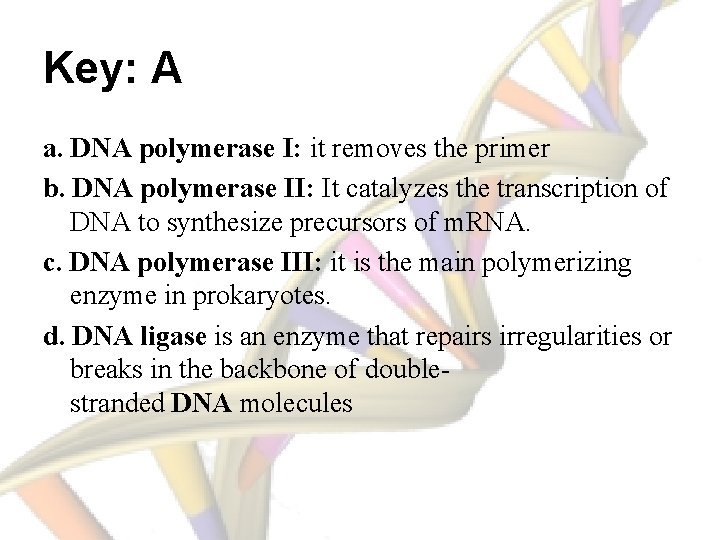 Key: A a. DNA polymerase I: it removes the primer b. DNA polymerase II: