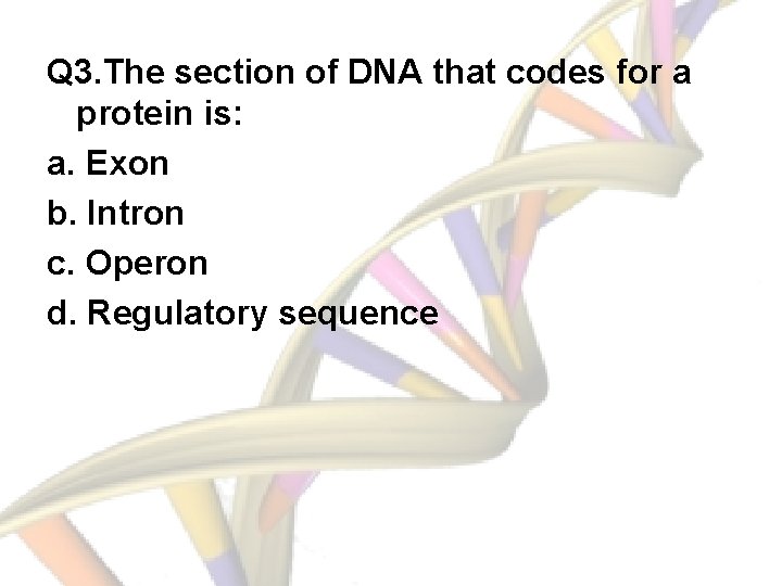 Q 3. The section of DNA that codes for a protein is: a. Exon
