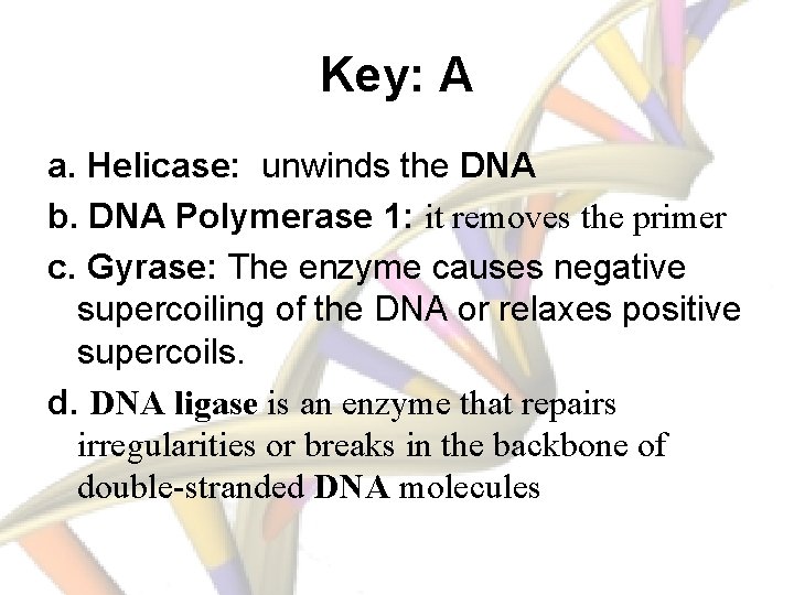 Key: A a. Helicase: unwinds the DNA b. DNA Polymerase 1: it removes the