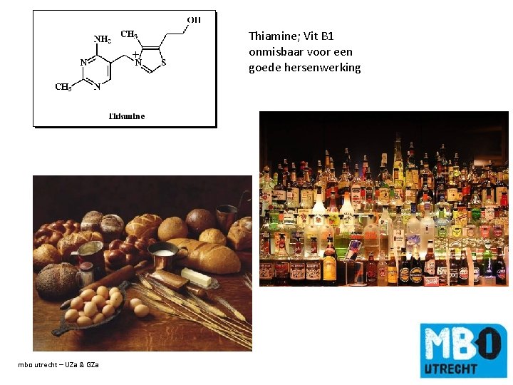 Thiamine; Vit B 1 onmisbaar voor een goede hersenwerking mbo utrecht – UZa &