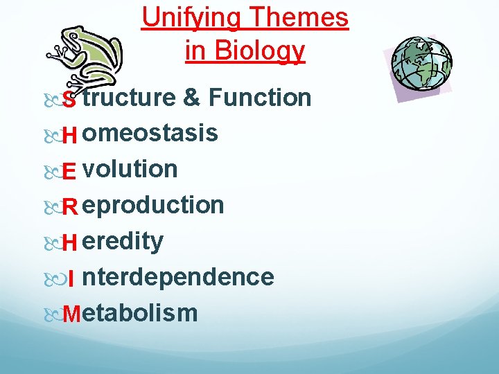 Unifying Themes in Biology S tructure & Function H omeostasis E volution R eproduction