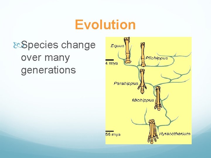 Evolution Species change over many generations 