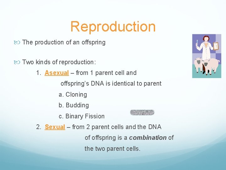 Reproduction The production of an offspring Two kinds of reproduction: 1. Asexual – from
