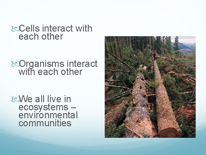  Cells interact with each other Organisms interact with each other We all live