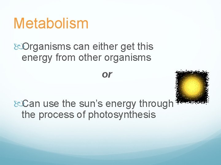 Metabolism Organisms can either get this energy from other organisms or Can use the
